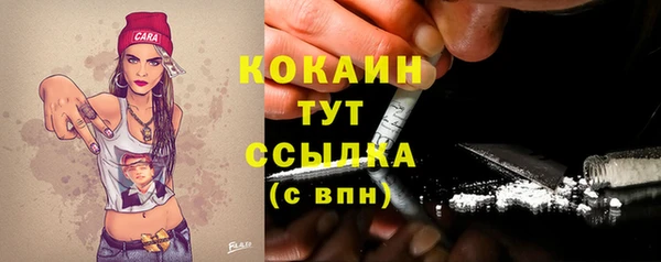 дживик Абинск
