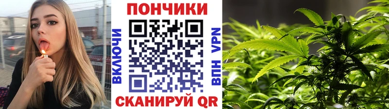 Бошки марихуана план  Нариманов 